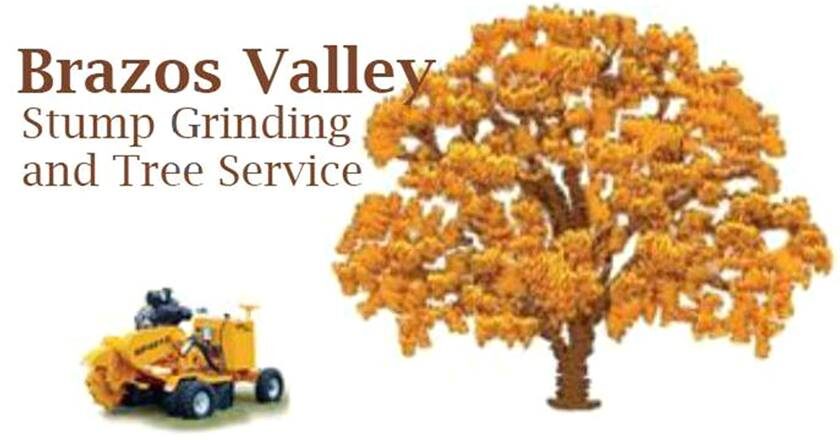 Brazos Valley Stump Grinding and Tree Service Logo