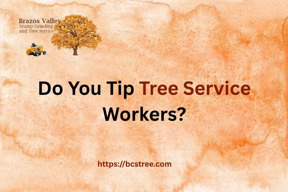 Tip Tree Service
