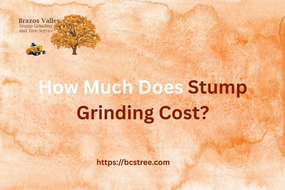 How Much Does Stump Grinding Cost?